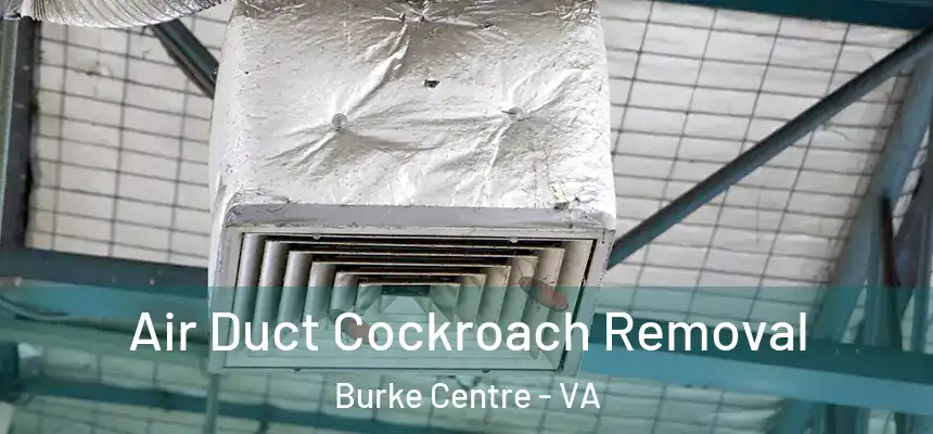  Air Duct Cockroach Removal Burke Centre - VA