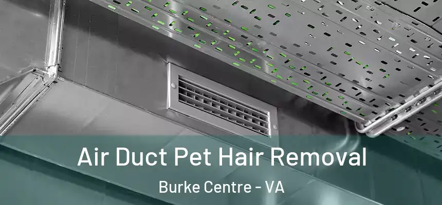 Air Duct Pet Hair Removal Burke Centre - VA
