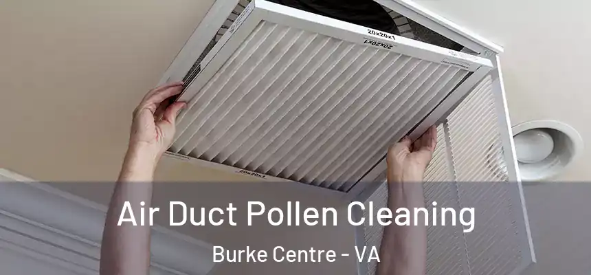 Air Duct Pollen Cleaning Burke Centre - VA