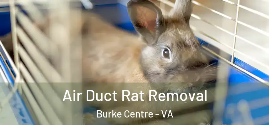  Air Duct Rat Removal Burke Centre - VA