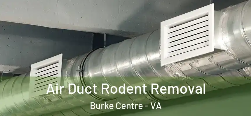 Air Duct Rodent Removal Burke Centre - VA
