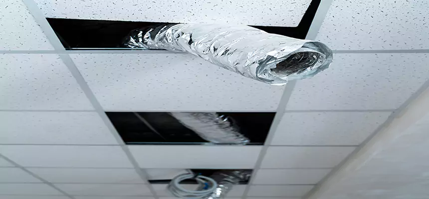 Affordable HVAC Sanitizing After Pest Removal in Burke Centre