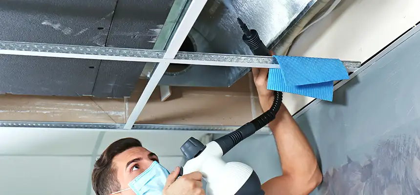 Our Air Duct Rodent Removal Services in Burke Centre, VA
