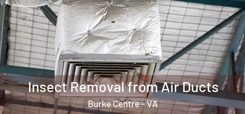 Insect Removal from Air Ducts Burke Centre - VA