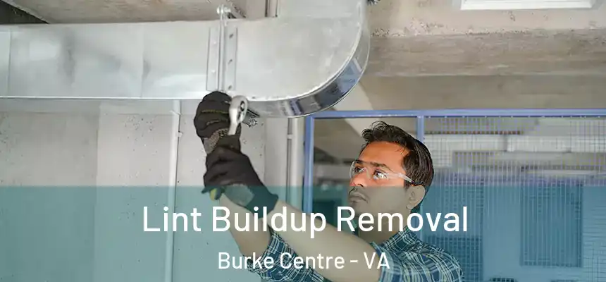  Lint Buildup Removal Burke Centre - VA