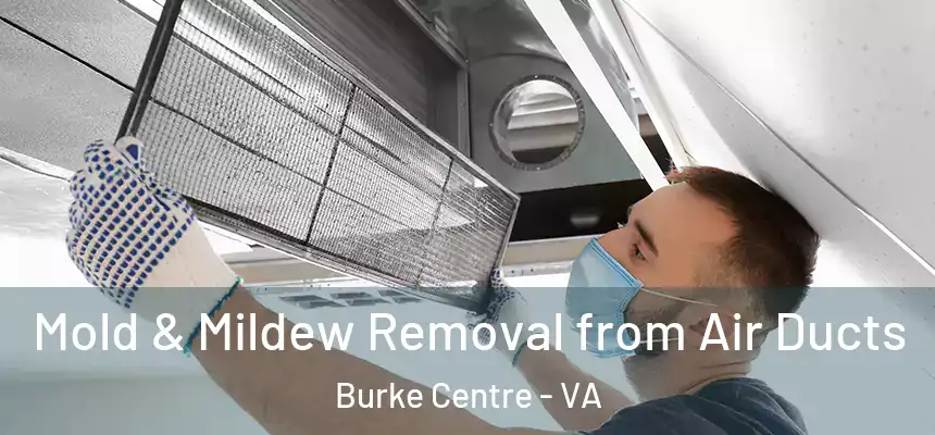  Mold & Mildew Removal from Air Ducts Burke Centre - VA