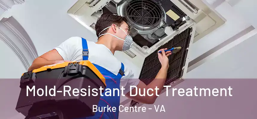  Mold-Resistant Duct Treatment Burke Centre - VA