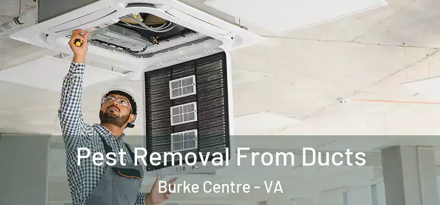  Pest Removal From Ducts Burke Centre - VA
