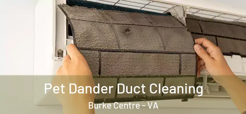  Pet Dander Duct Cleaning Burke Centre - VA