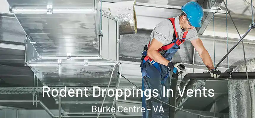 Rodent Droppings In Vents Burke Centre - VA