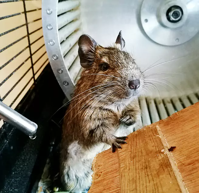 Why Homeowners & Businesses Trust Us Burke Centre, VA